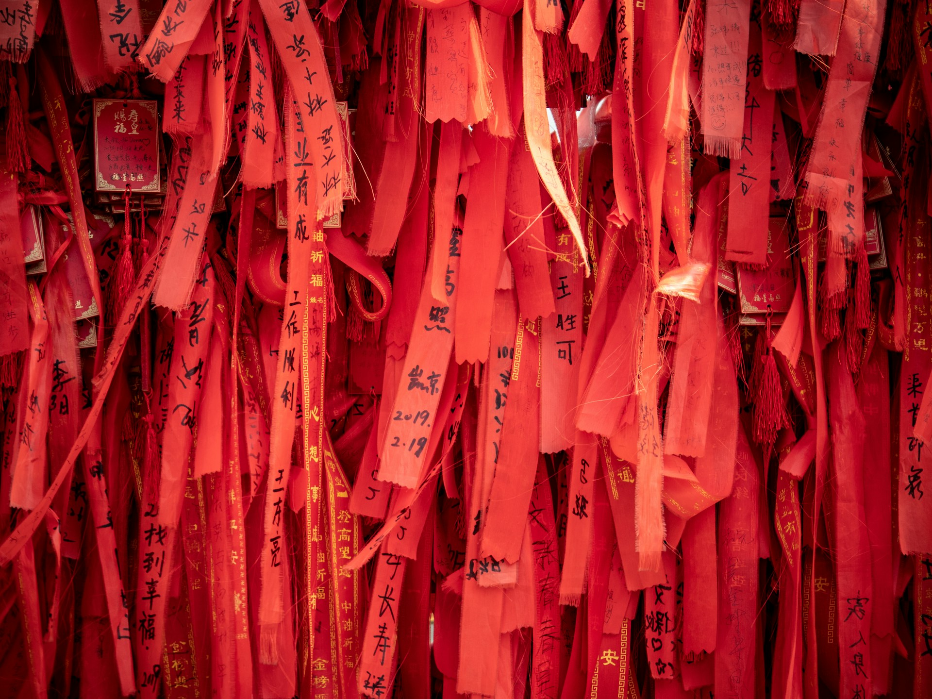 Photo by Jamie Street on Unsplash